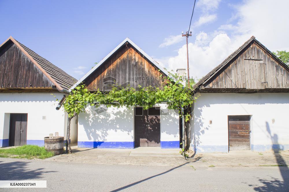 Blatnice pod Svatym Antoninkem, traditional wine cellars
