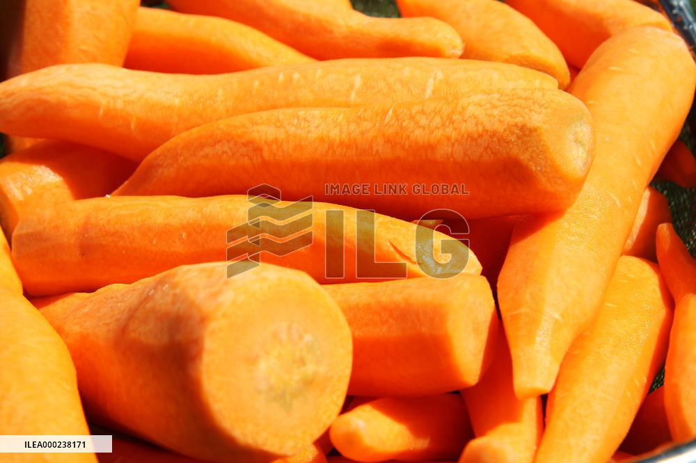 Carrots, peeled, scraped, vegetables