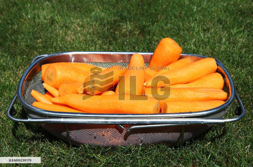 Carrots, peeled, scraped, vegetables