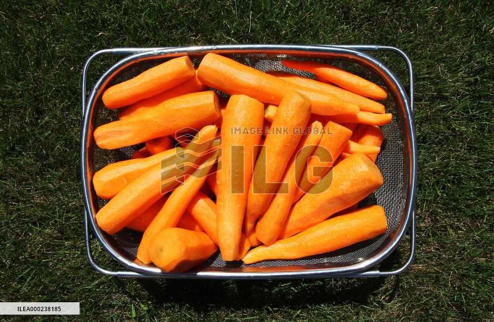 Carrots, peeled, scraped, vegetables
