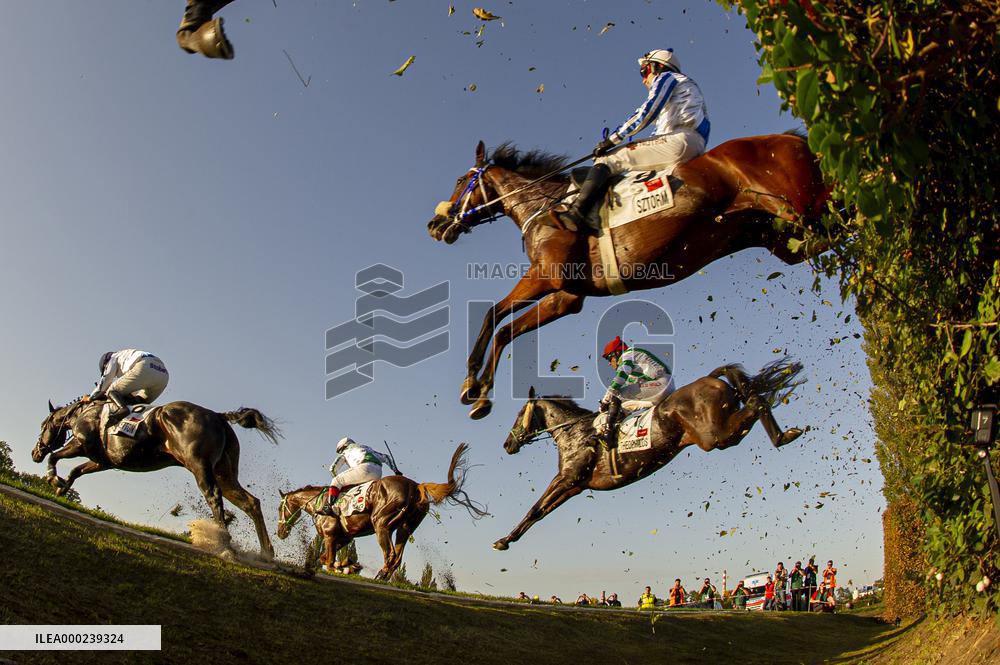 Theophilos with jockey Josef Bartos