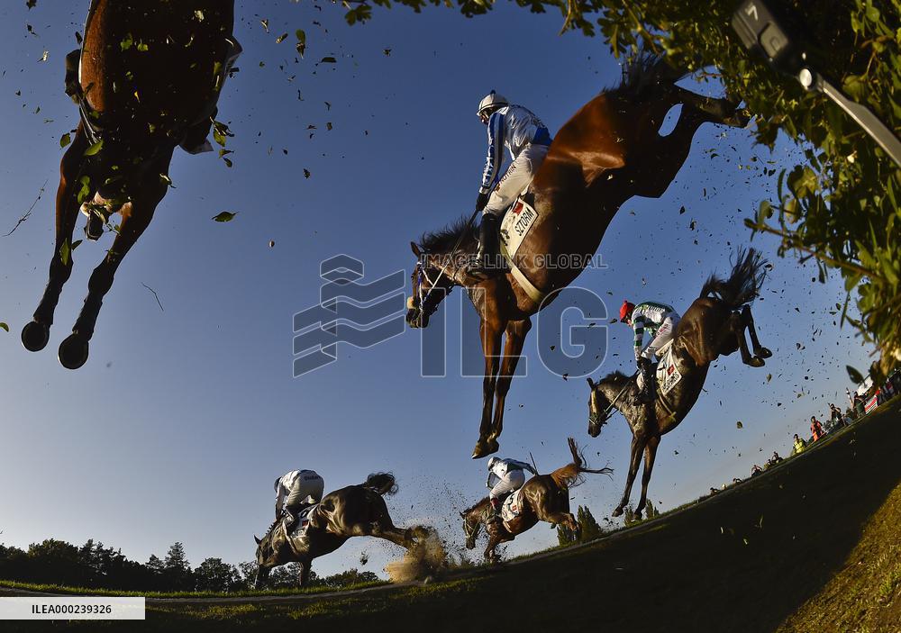 Theophilos with jockey Josef Bartos