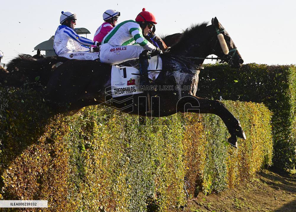 Theophilos with jockey Josef Bartos