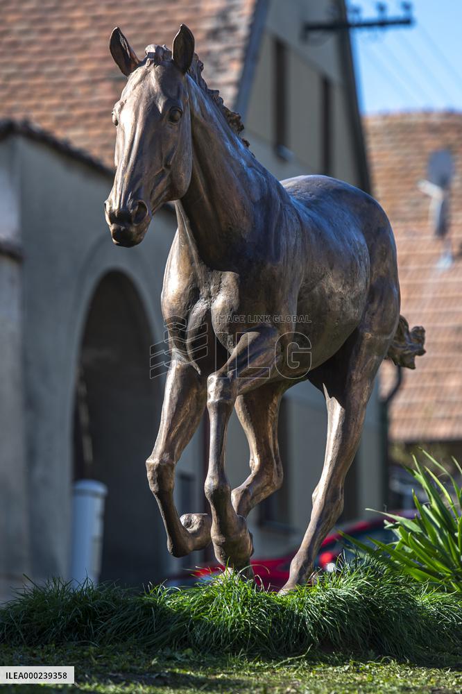 A bronze statue of the Peruan race horse