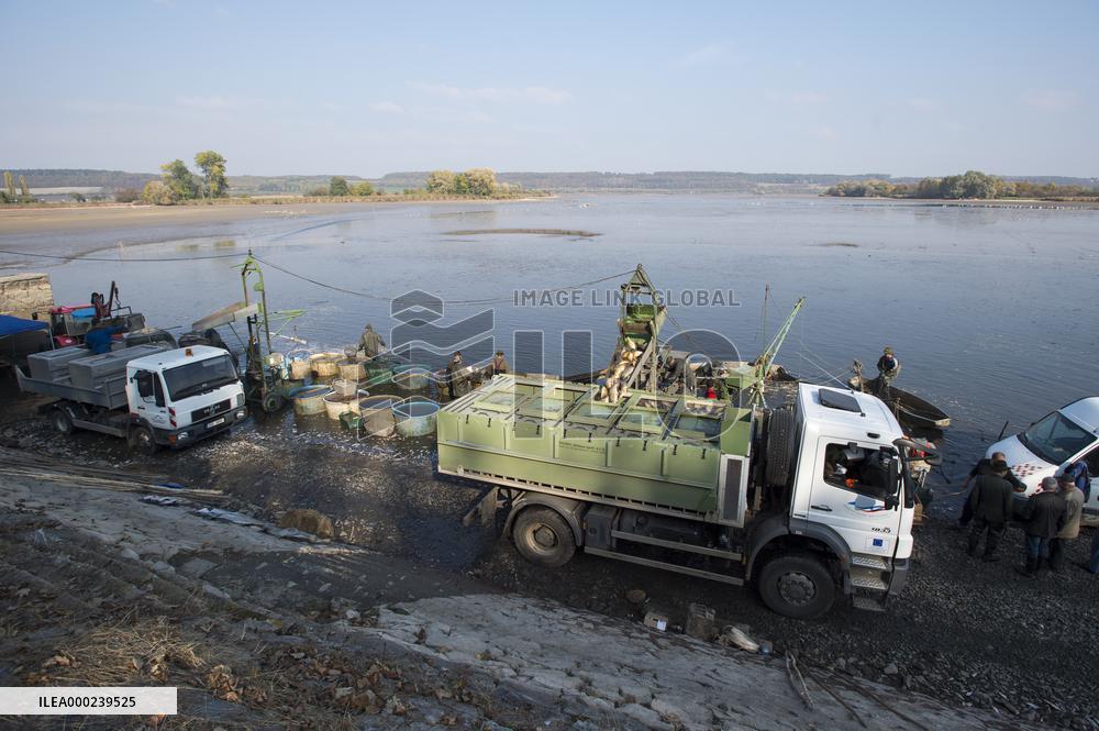 fishermen, fishing, fish, Zehunsky pond