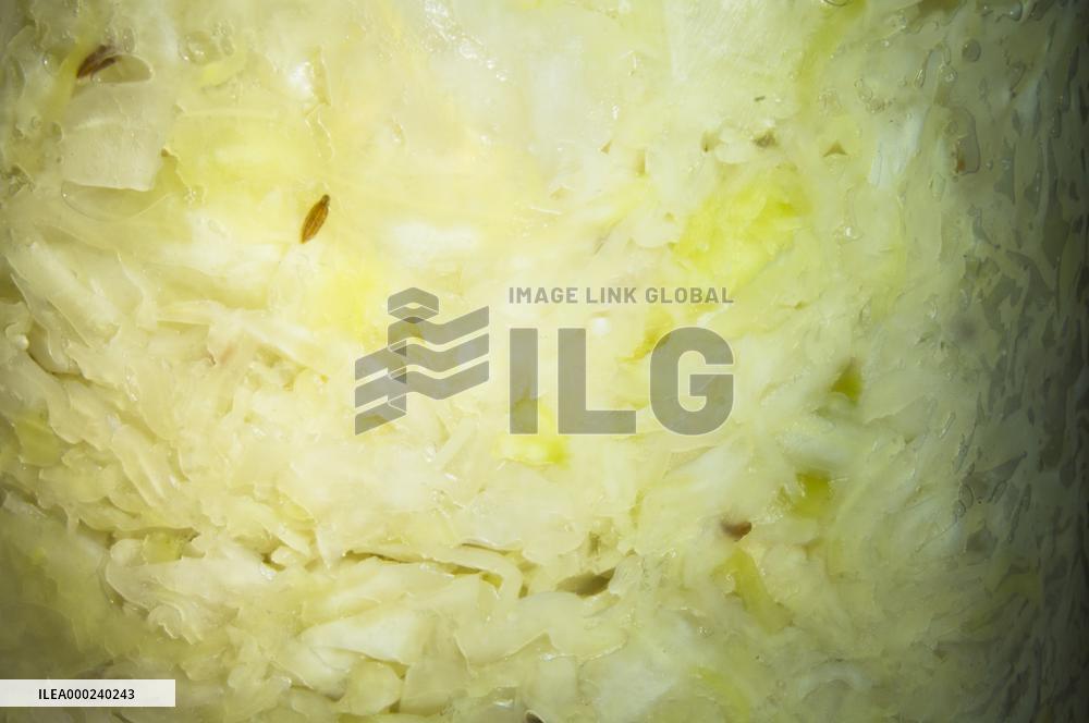 homemade sauerkraut, raw cabbage, lactic acid fermentation