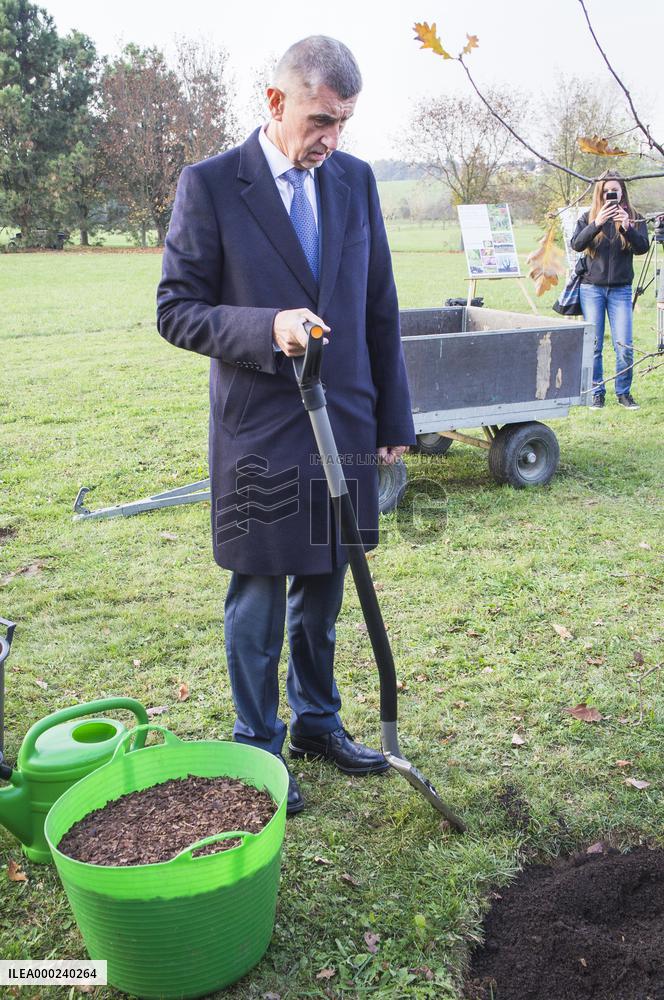 Andrej Babis, oak tree planting
