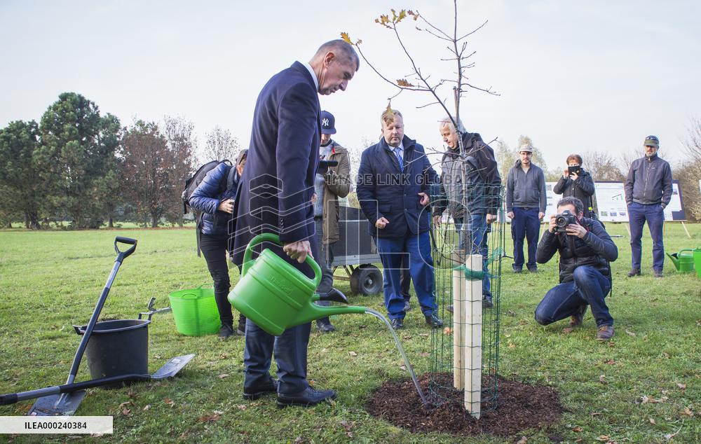 Andrej Babis, oak tree planting, Richard Brabec, Zdenek Kiesenbauer