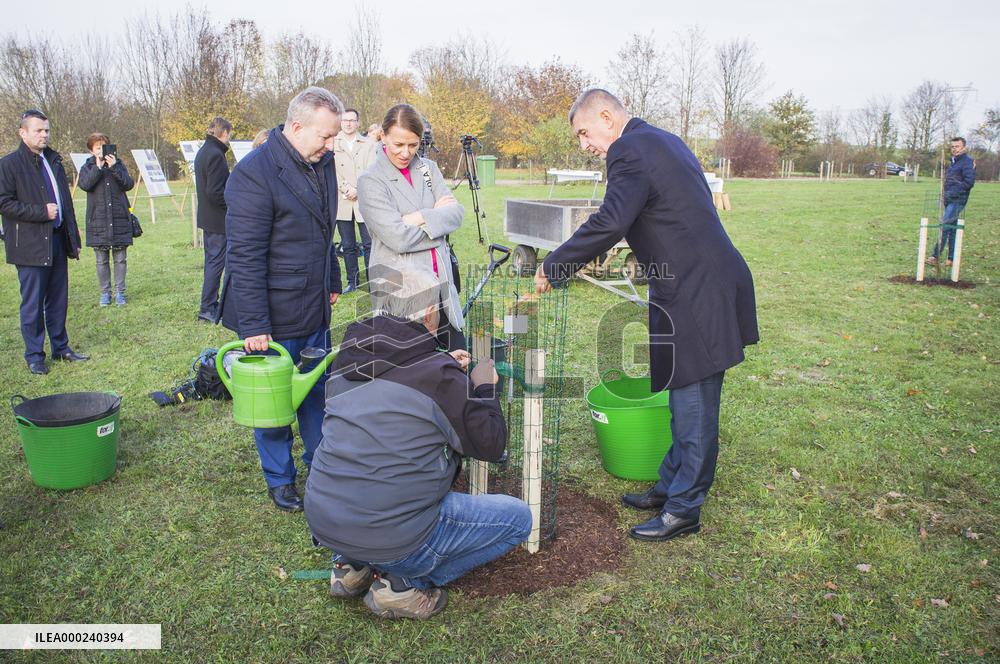 Andrej Babis, oak tree planting, Richard Brabec, Tunde Bartha, Zdenek Kiesenbauer