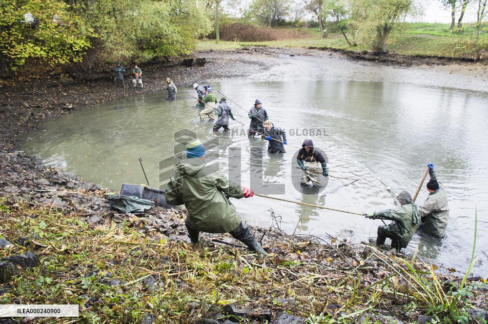 fishermen, fish, pond, fish out, haul, net, carp