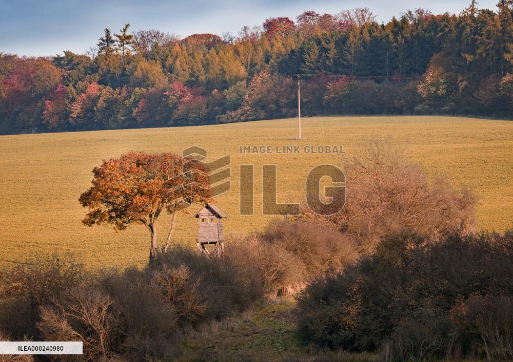 High stand, tree, autumn