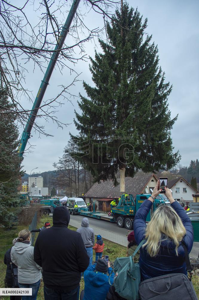 Christmas tree for Prague