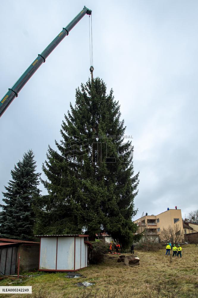 Christmas tree for Prague