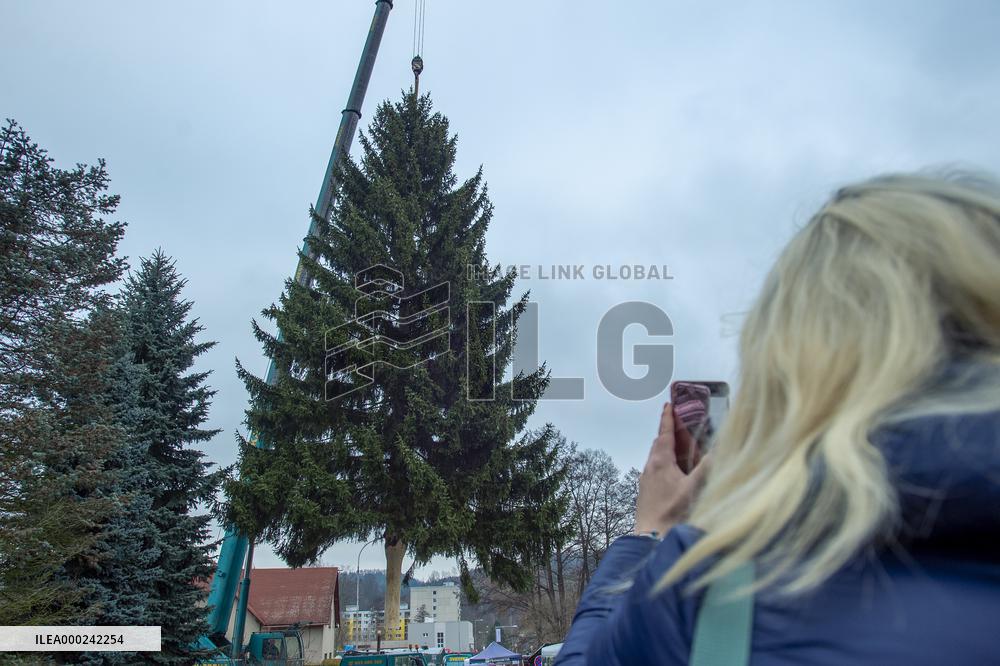 Christmas tree for Prague