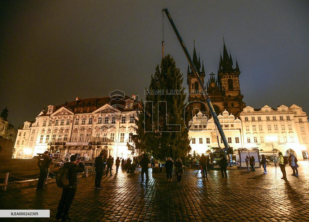 Prague Christmas tree, Old Town Square, installation