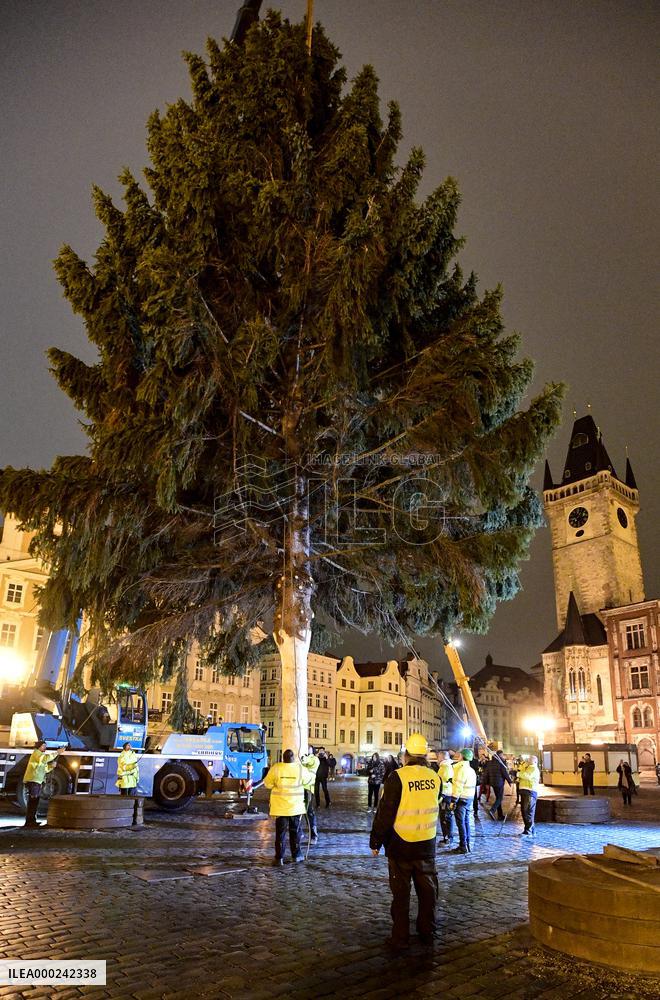 Prague Christmas tree, Old Town Square, installation