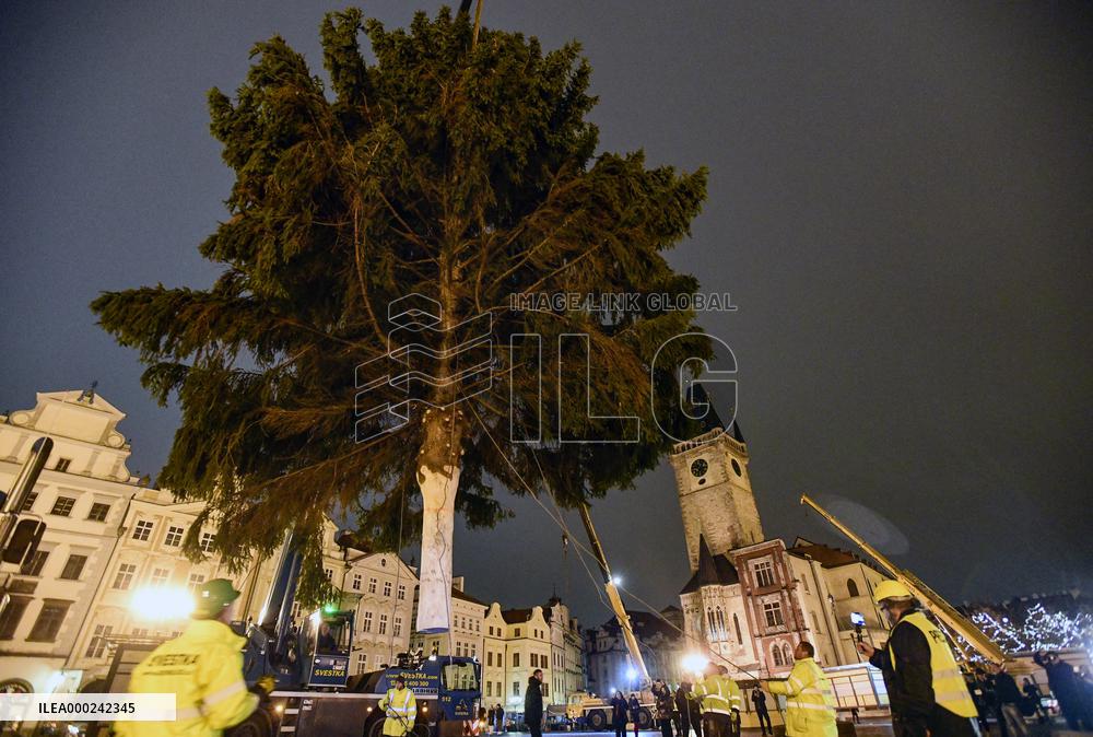 Prague Christmas tree, Old Town Square, installation