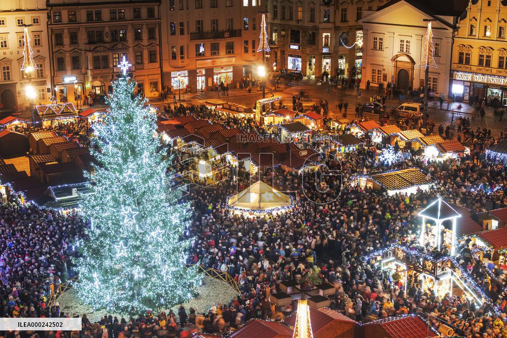 Christmas tree, Pilsen, market