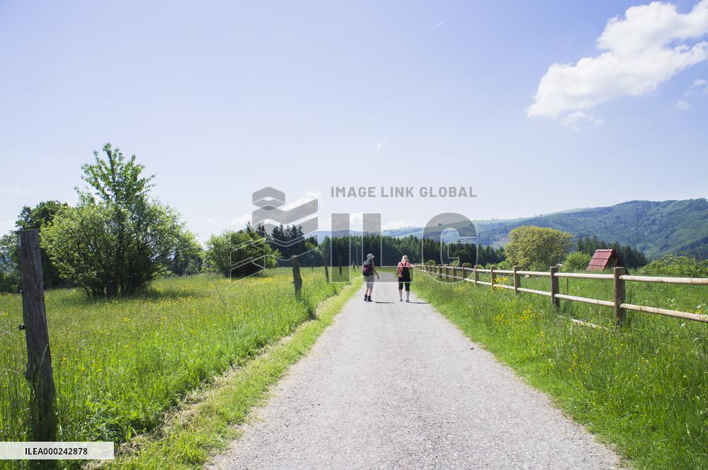 Zitkova Moravian Kopanice countryside, landscape, meadows, road, path, pasture land
