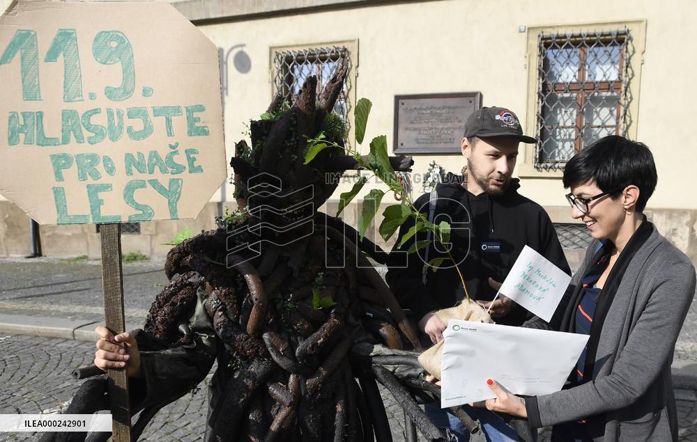 Friends of the Earth movement handed a petition for forests salvation to Czech MPs