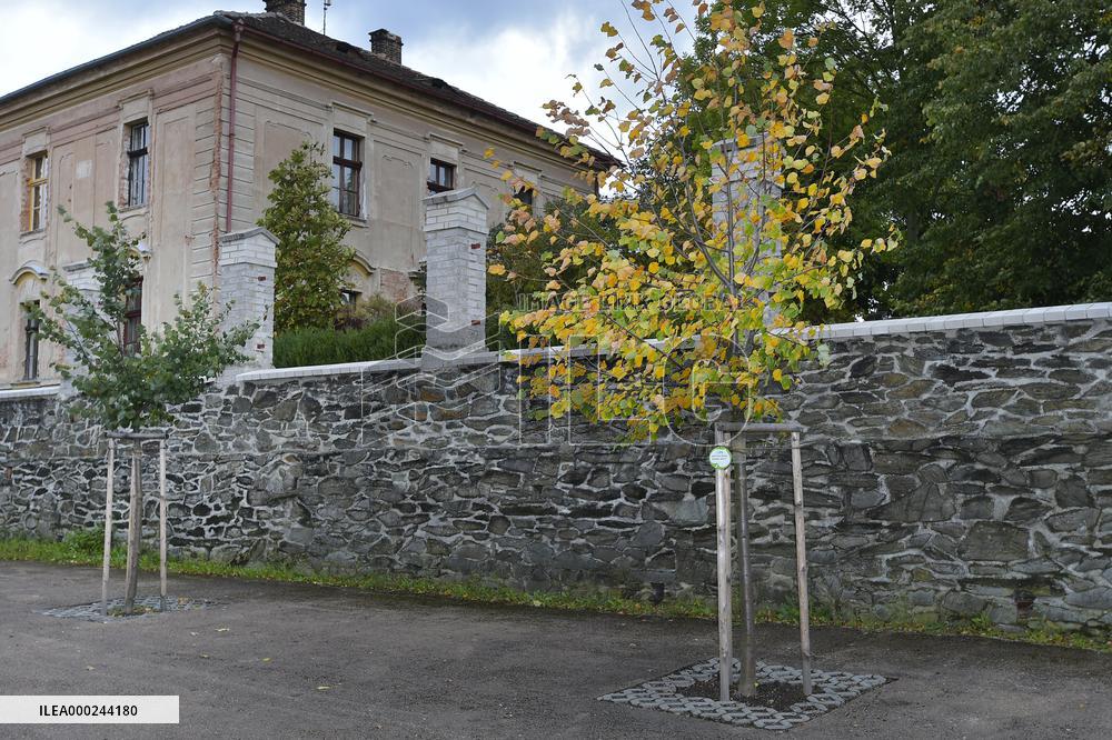 Karel Gott's tree