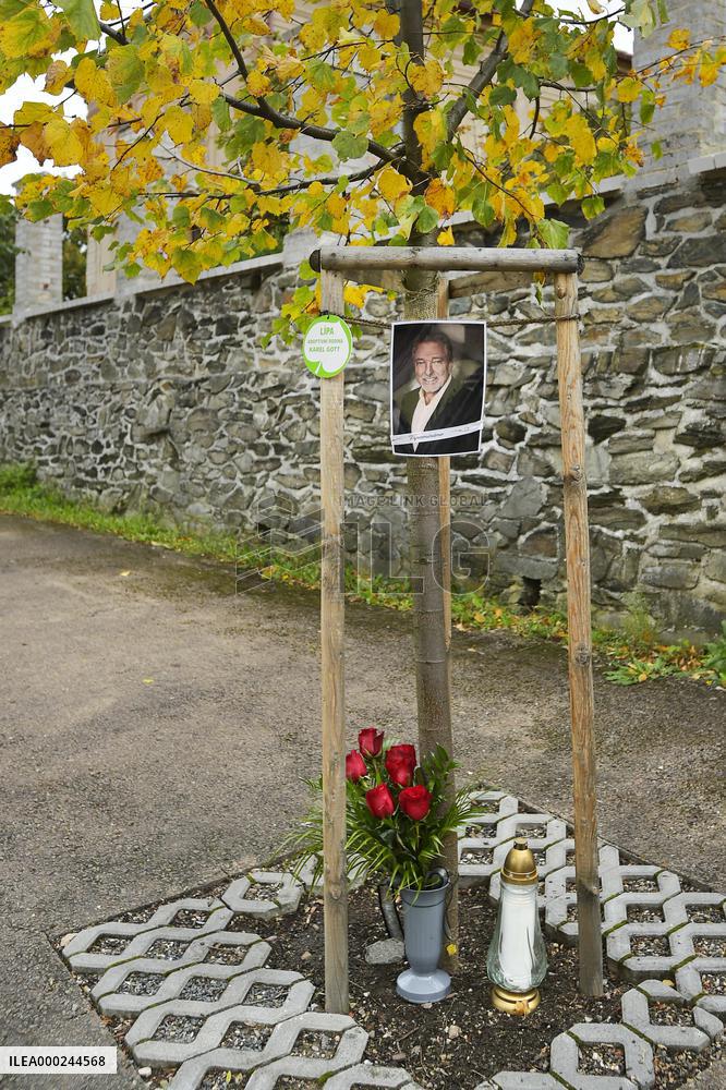 pious place in front of Karel Gott's tree