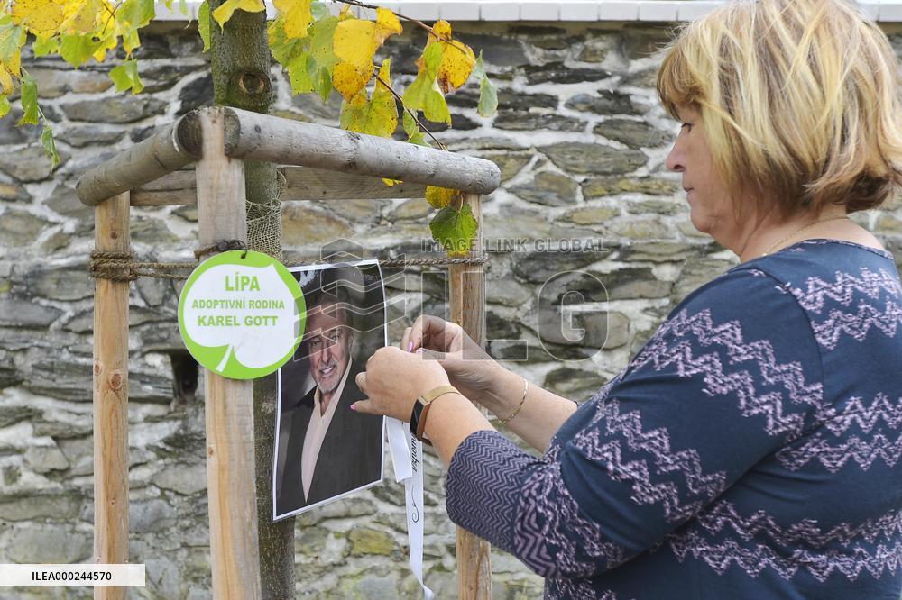 pious place in front of Karel Gott's tree