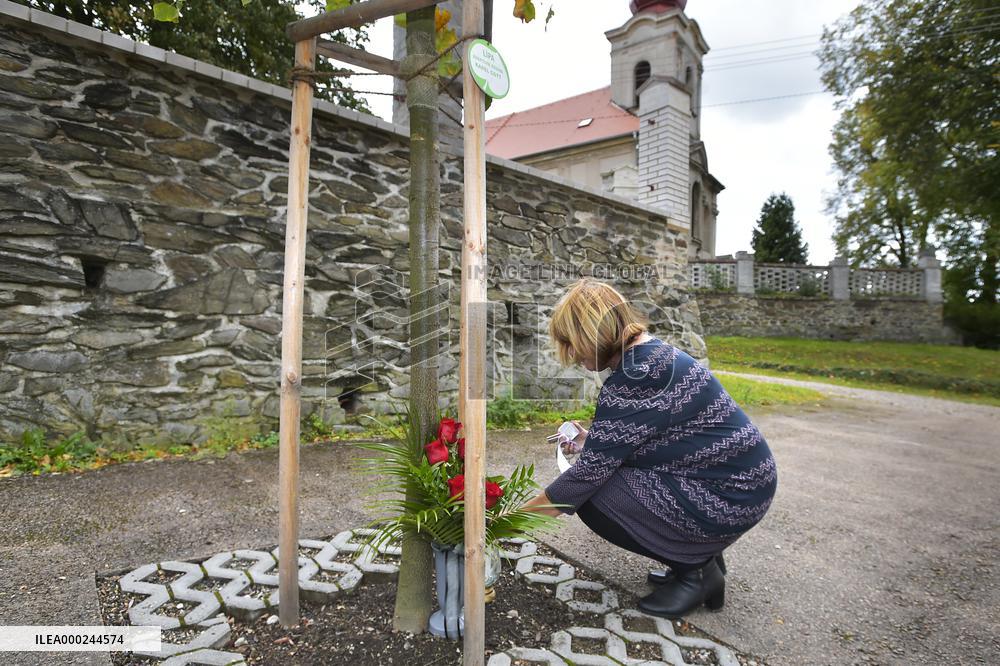 pious place in front of Karel Gott's tree