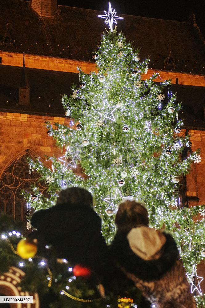 Christmas tree, Pilsen, market