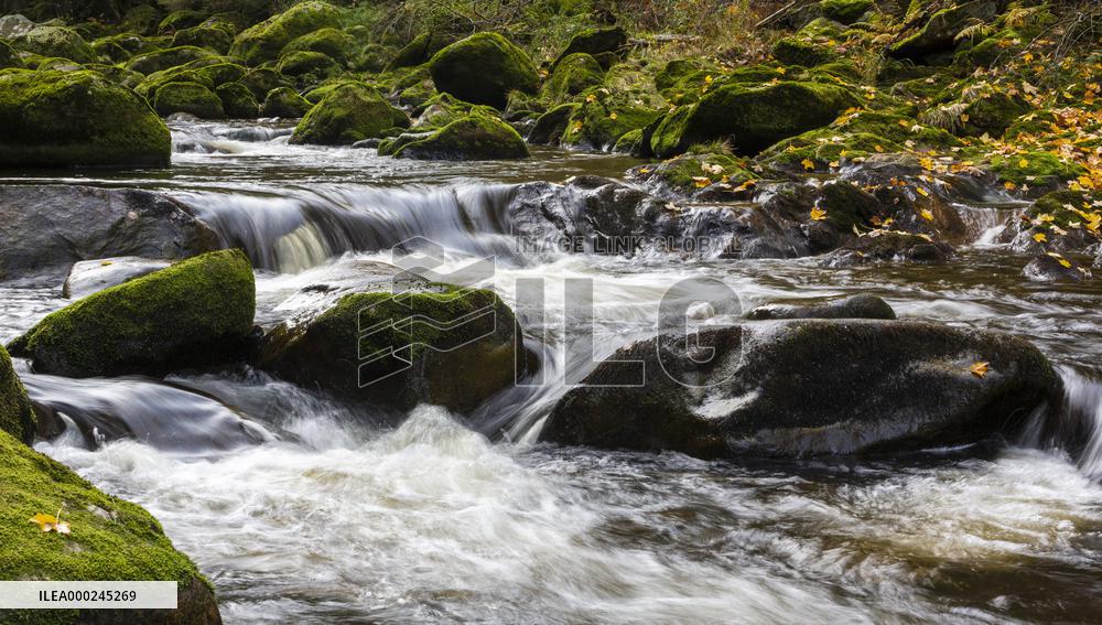 River Vydra, Sumava, nature, water