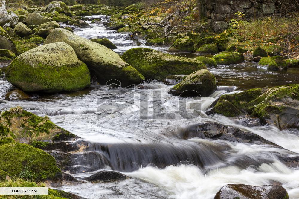 River Vydra, Sumava, nature, water