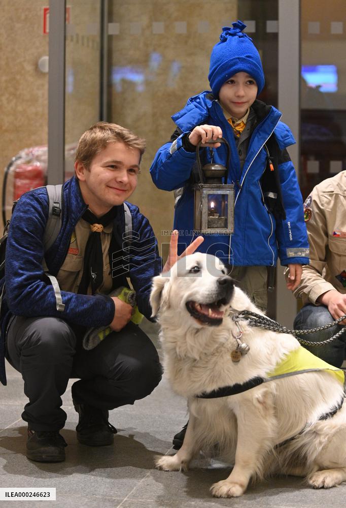 Bethlehem light, scouts, dog