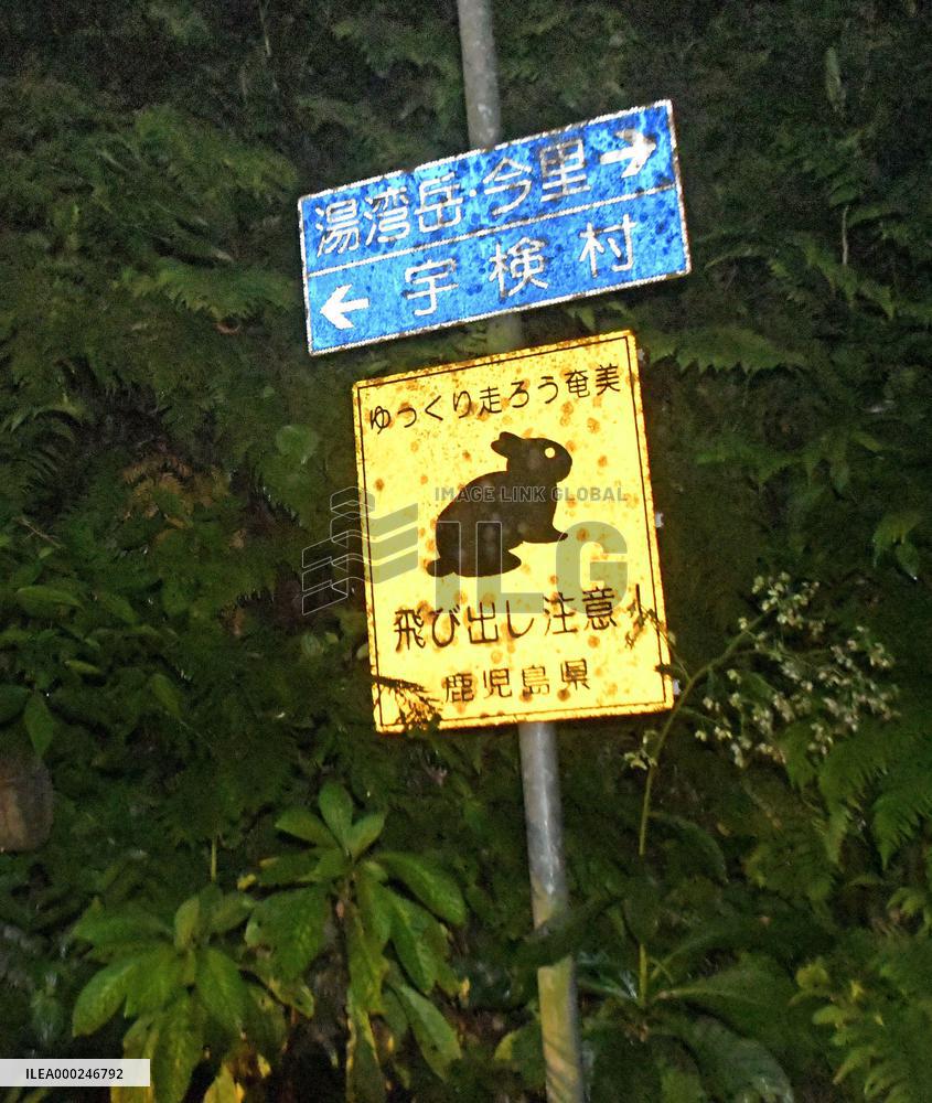 Southwestern Japan islands set to become World Heritage site