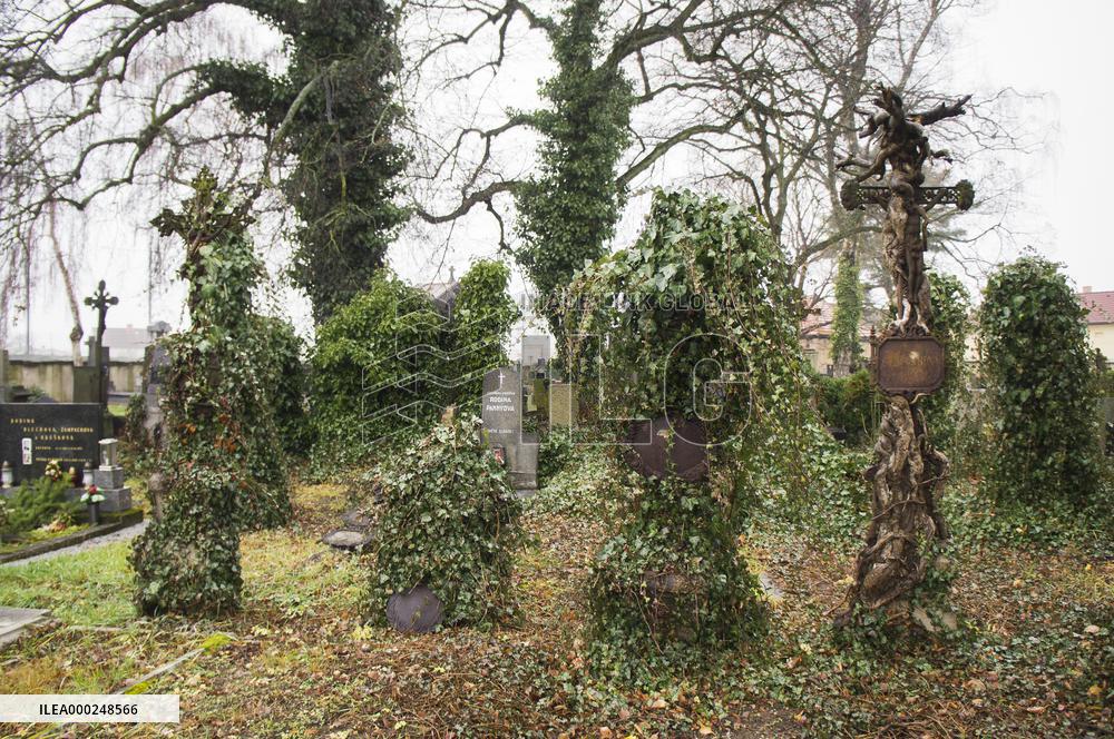 the old graveyard by Cemetery Church of St Wenceslas