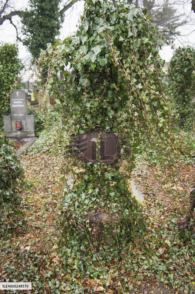 the old graveyard by Cemetery Church of St Wenceslas