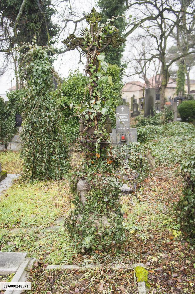 the old graveyard by Cemetery Church of St Wenceslas