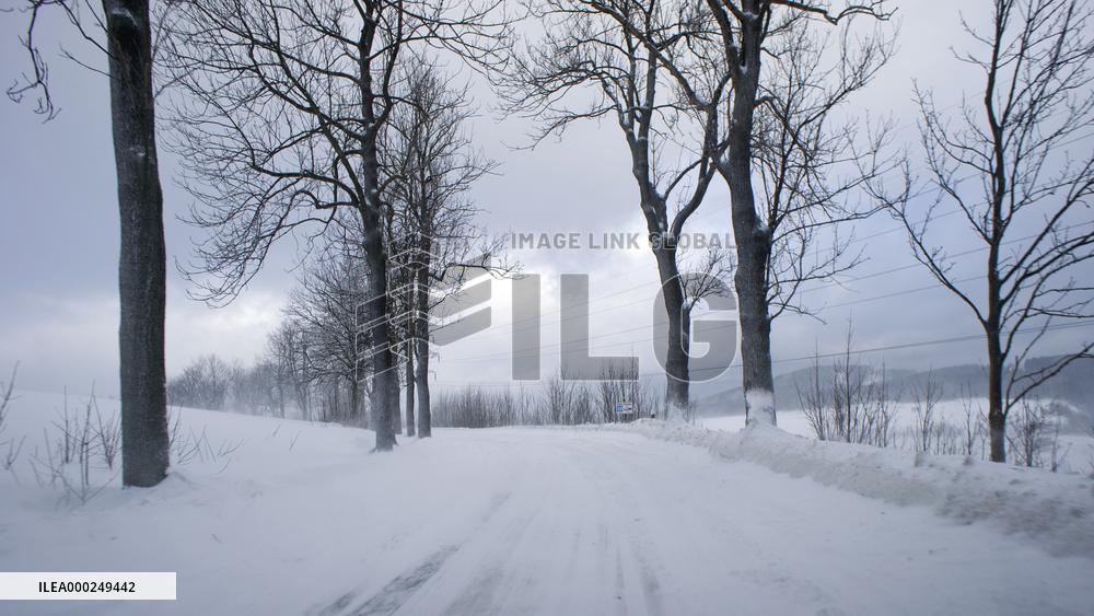 country road, winter, snow, landscape