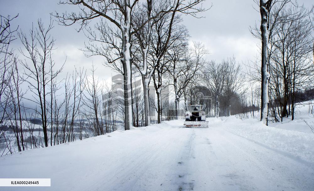 country road, winter, snow, landscape