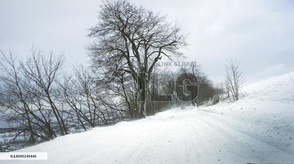 country road, winter, snow, landscape