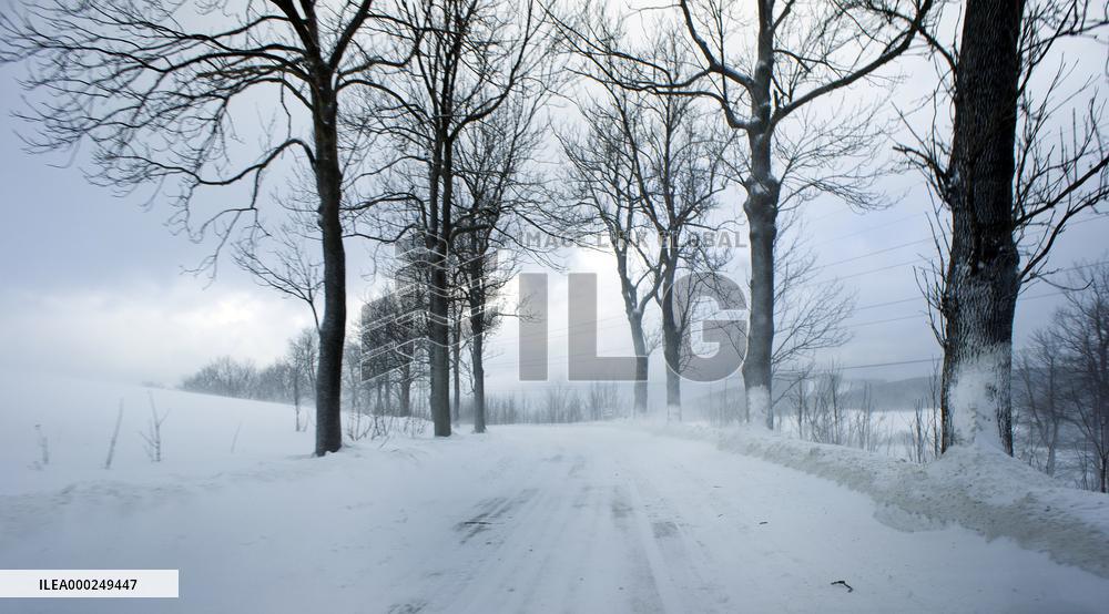 country road, winter, snow, landscape