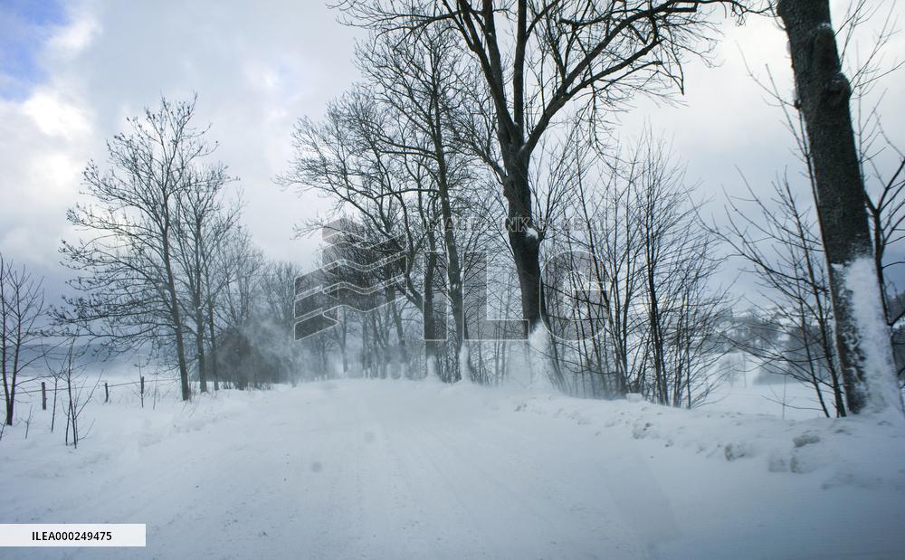 country road, winter, snow, landscape