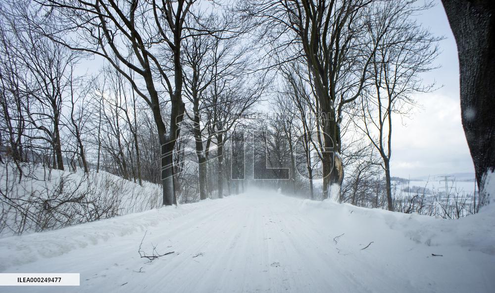 country road, winter, snow, landscape