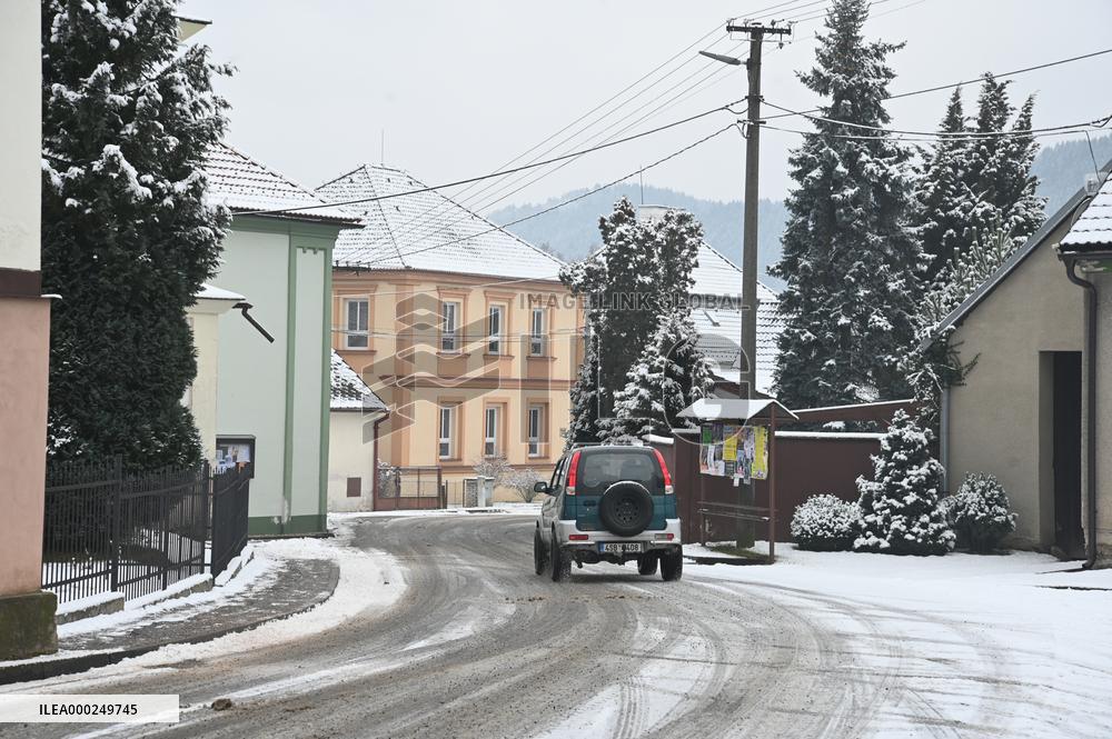 Bird flu back in Czech Republic
