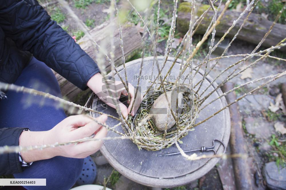 Basket weaving, basketry, basket making, willow rods