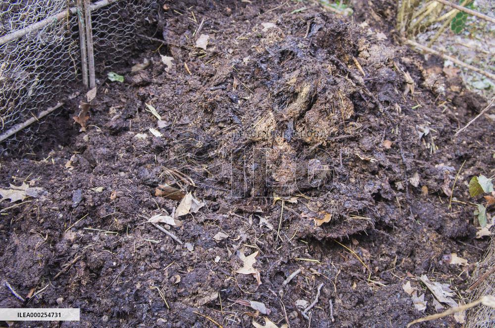 composting, household compost, aeration, turning