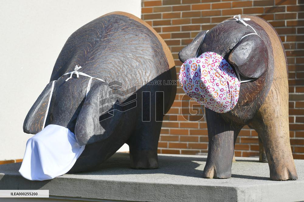 monument, statue Presticke pig wearing face masks
