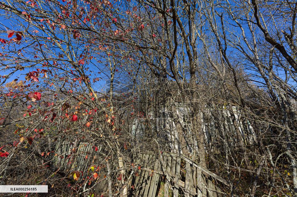Chernobyl zone, restricted territory, an abandoned village