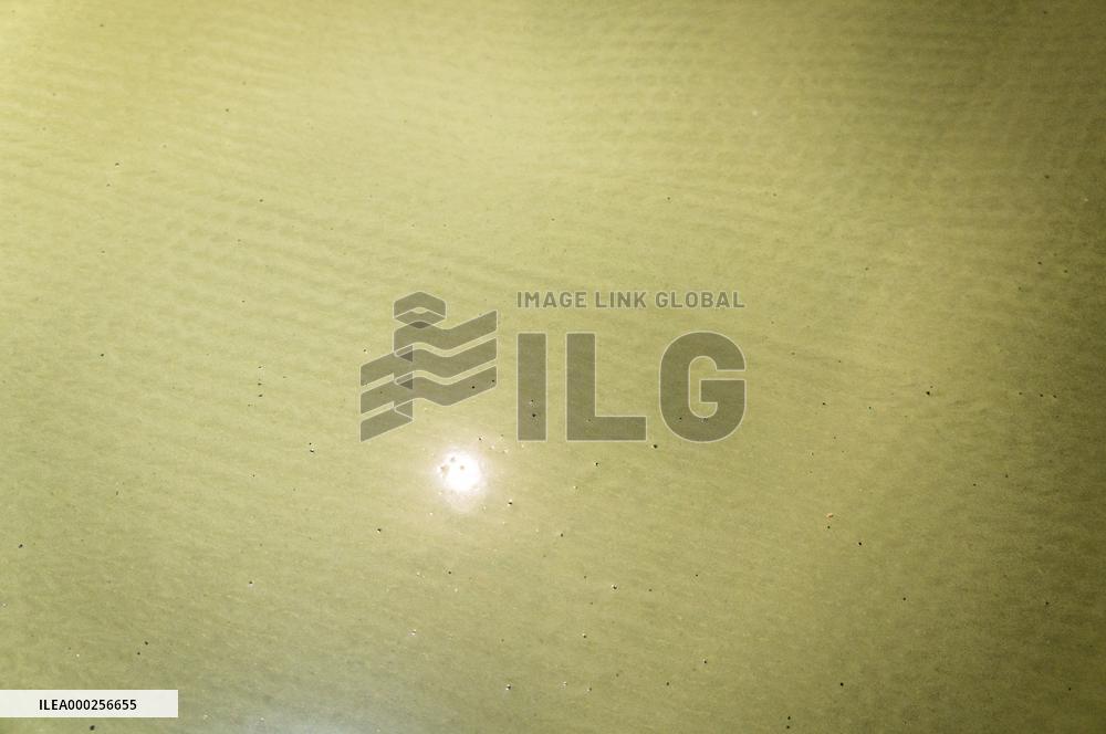 construction site, family house, bathroom, reconstruction, renovation, self-leveling compound, floor, flooring