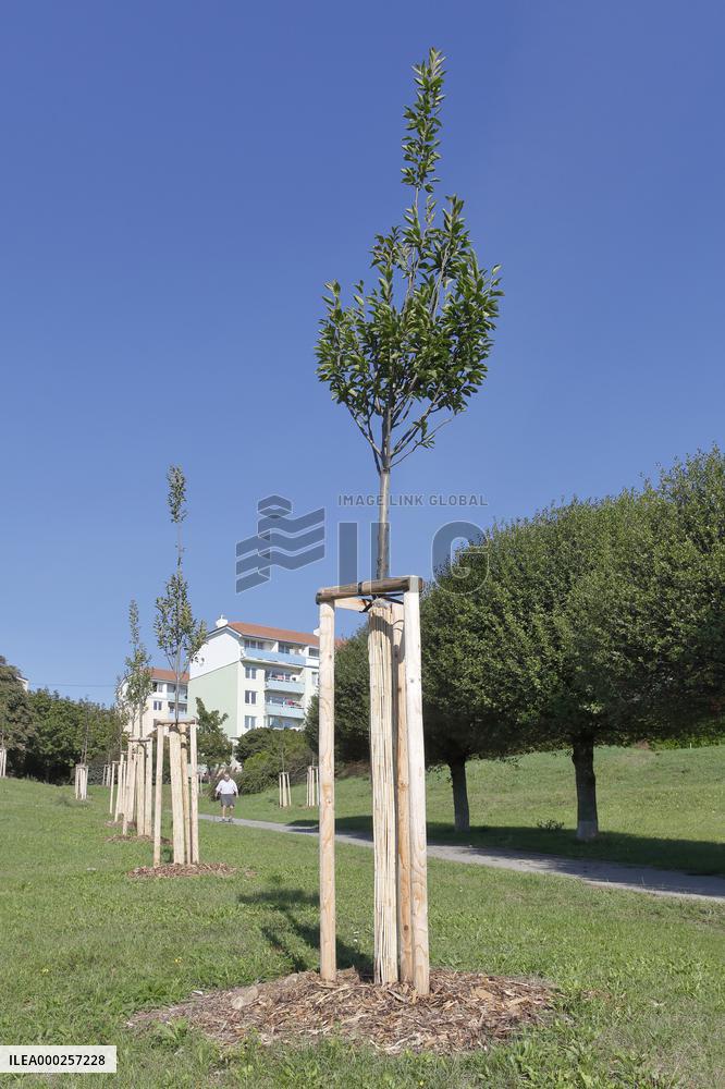 Urban open space in Brno Lisen estate housing