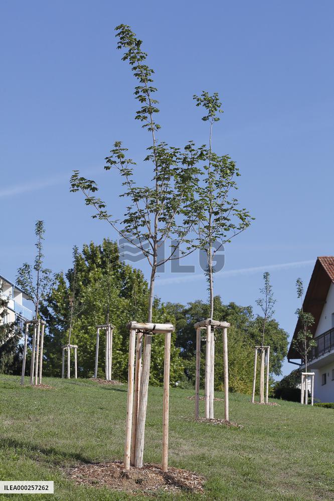 Urban open space in Brno Lisen estate housing